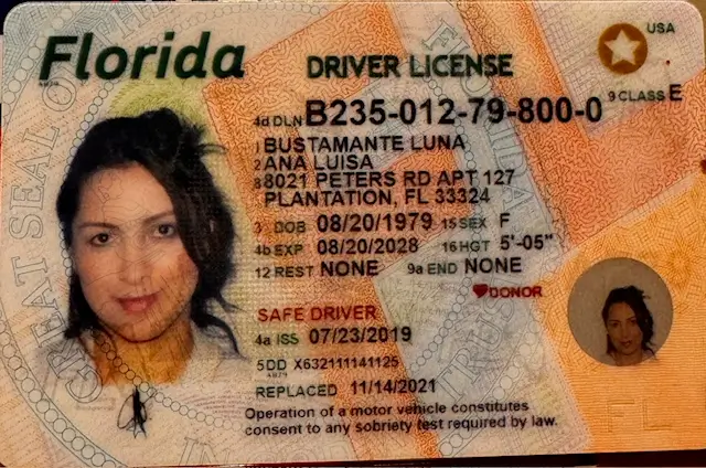 DRIVER LICENCE